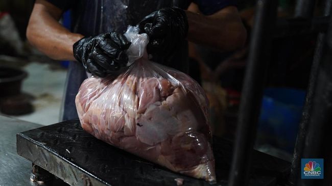 ahli-temukan-daging-ayam-sapi-babi-mengandung-mikroplastik_336c69f.jpg