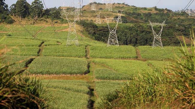 amankan-stok-beras-ri-80-tahun-prabowo-mau-cetak-3-juta-ha-sawah-baru_95980af.jpg