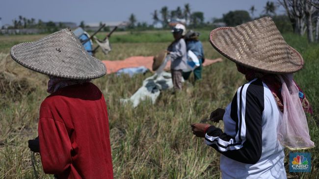 hari-pangan-sedunia-petani-teriak-minta-hapus-uu-ciptaker-ada-apa_0922a91.jpg