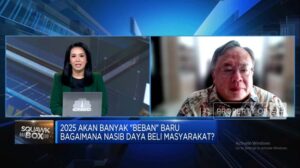 video-2025-warga-ri-hadapi-banyak-beban-ppn-jangan-naik-jadi-12_a0059a8.jpg