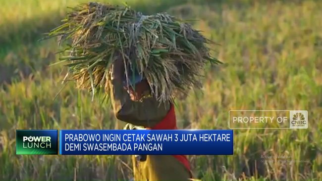 video-demi-swasembada-pangan-prabowo-cetak-sawah-3-juta-hektare_aceae36.jpg