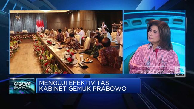 video-ekonom-beberkan-kriteria-menko-di-pemerintahan-prabowo_e3de06c.jpg