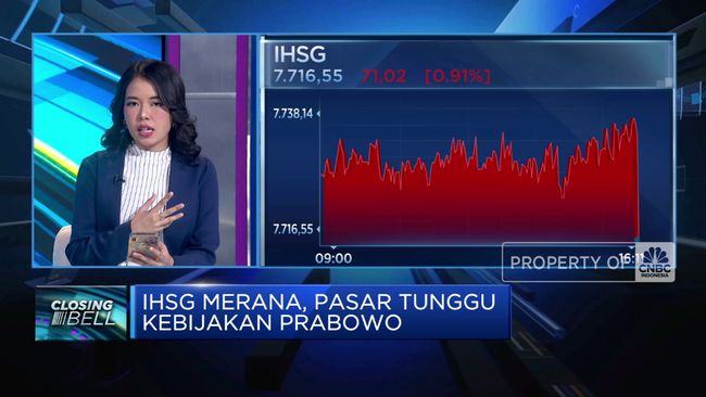 video-ihsg-merana-investor-menanti-kebijakan-prabowo_d8106a3.jpg