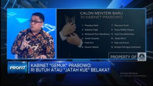 video-kabinet-gemuk-prabowo-ri-butuh-atau-jatah-kue-belaka_bf3c421.jpg