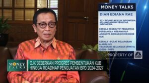 video-ojk-bicara-roadmap-penguatan-bpd-2024-2027-pembentukan-kub_693c334.jpg