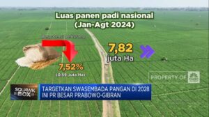 video-targetkan-swasembada-pangan-di-2028-ini-pr-besar-prabowo-gibran_00b2e61.jpg