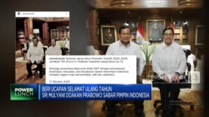 video-ucapkan-selamat-ulang-tahun-sri-mulyani-doakan-prabowo-sabar_6c572df.jpg