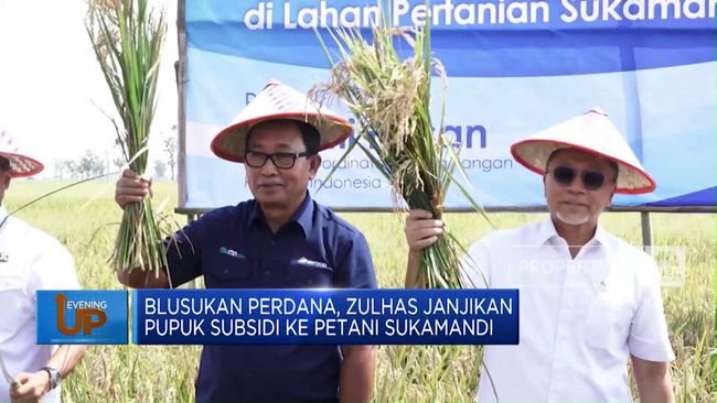 blusukan-perdana-zulhas-janjikan-pupuk-subsidi-ke-petani-sukamandi_6f63fd4.jpg