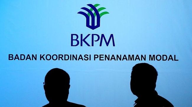 bpk-ungkap-kejanggalan-data-investasi-bkpm-begini-temuannya_7fe9c1b.jpg