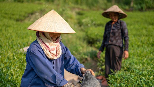 catat-ini-syarat-petani-yang-bisa-dapat-subsidi-pupuk-dari-pemerintah_7f1a19d.jpg