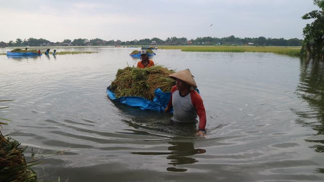 deretan-banjir-terbesar-pernah-terjadi-di-indonesia-termasuk-jakarta_fcf0729.jpg