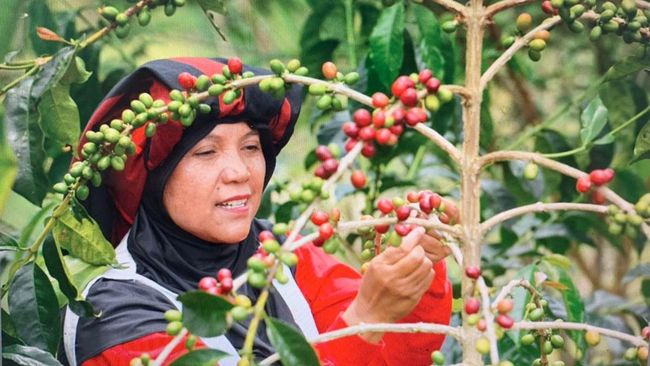 dicintai-warga-dunia-ini-alasan-kopi-indonesia-jadi-primadona_c91cfc8.jpg