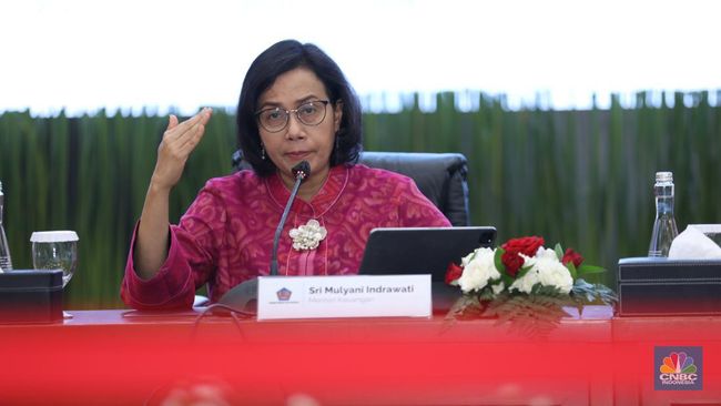 kantor-sri-mulyani-pede-target-pajak-2024-tercapai-meski-berat_aa102e8.jpg