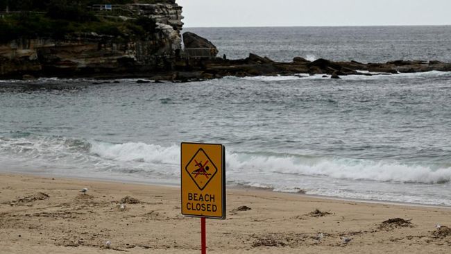 kemunculan-bola-hitam-misterius-di-pantai-sydney-pemerintah-bingung_c0beb78.jpg