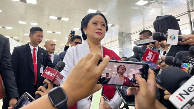 pdip-jadi-masuk-kabinet-prabowo-ini-jawaban-tak-terduga-puan_c85d9e5.jpg