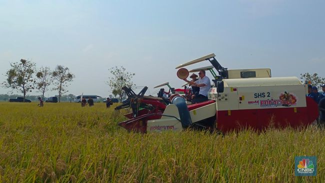 potret-zulhas-blusukan-ke-subang-nyebur-ke-sawah-naik-mesin-combine_eed6782.jpg