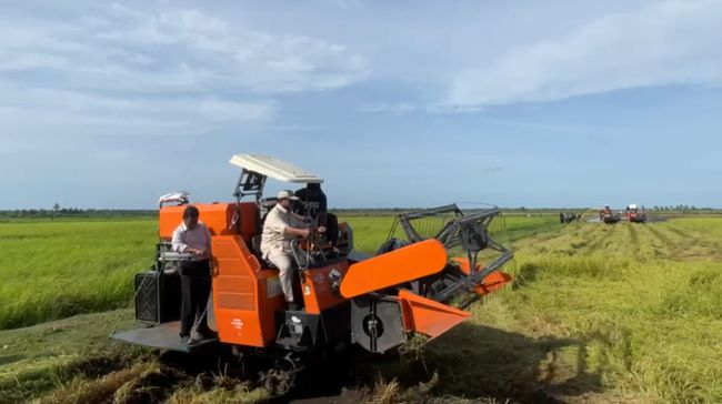 prabowo-turun-ke-sawah-cek-program-swasembada-pangan-di-papua_967f615.jpg