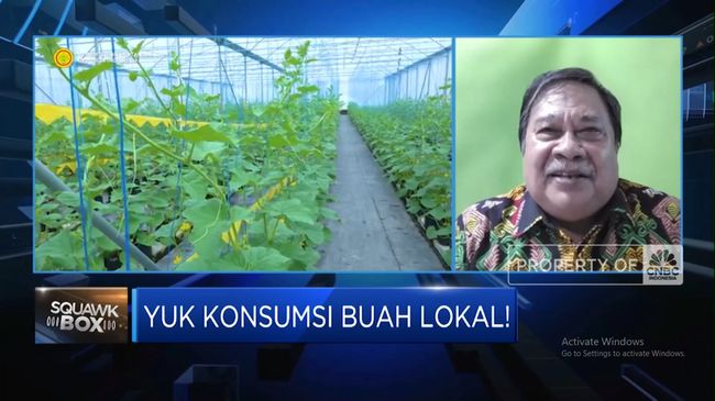 video-aturan-jadi-biang-kerok-buah-indonesia-kalah-dari-malaysia-cs_298897c.jpg