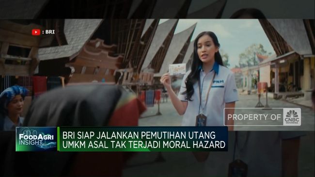 video-bri-siap-jalankan-pemutihan-utang-umkm-asal-tak-ada-modal-hazard_a3e140b.jpg