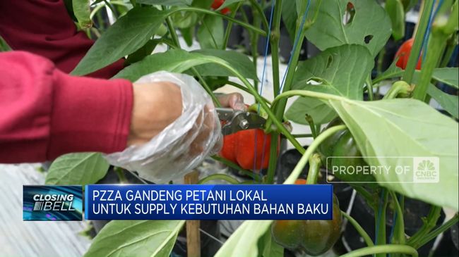 video-dukung-ketahanan-pangan-pzza-gandeng-100-petani-lokal_2389b5b.jpg