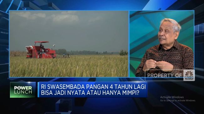 video-kiamat-sawah-ganggu-target-swasembada-pangan-prabowo_f1335d0.jpg