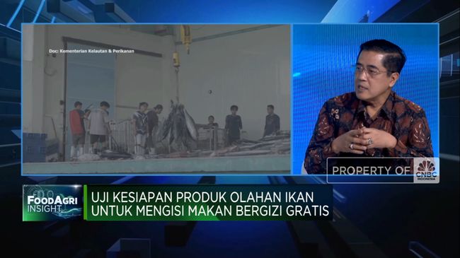 video-kkp-dorong-warga-ri-gemar-makan-ikan-lewat-program-makan-gratis_b79471f.jpg