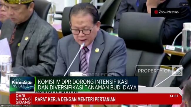 video-komisi-iv-dpr-ingatkan-kementan-soal-kegagalan-food-estate_16b58ff.jpg