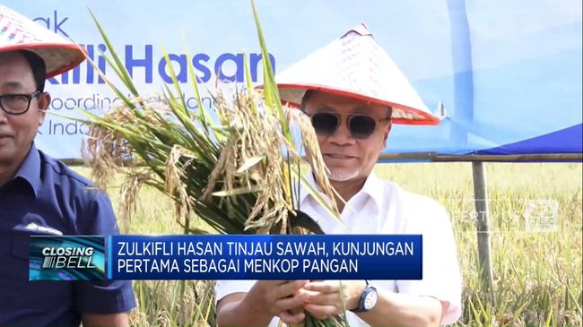 video-kunjungan-pertama-menkop-pangan-zulkifli-hasan-tinjau-sawah_7864d6b.jpg