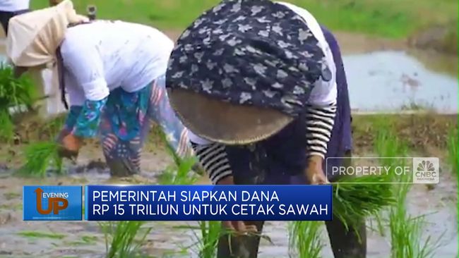 video-pemerintah-siapkan-dana-rp-15-triliun-untuk-cetak-sawah_c0f7e8a.jpg