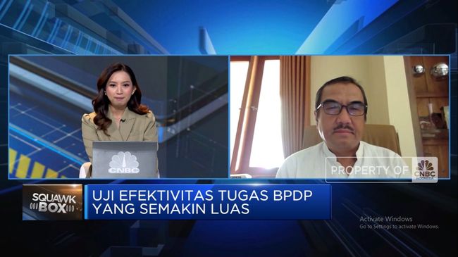 video-pengelola-dana-sawit-bpdpks-diubah-jadi-bpdp-ini-kata-pengusaha_b1d2171.jpg