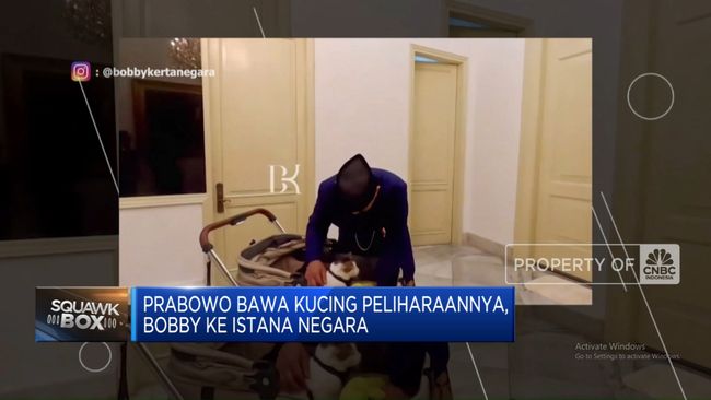 video-prabowo-bawa-kucing-peliharaan-ke-istana-negara_267612d-1.jpg