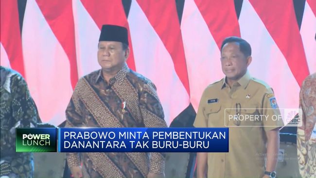 video-prabowo-minta-pembentukan-danantara-tak-buru-buru_0b9df90.jpg