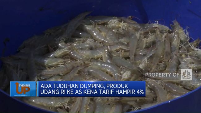 video-produk-udang-ri-ke-as-kena-tarif-hampir-4_790681b.jpg