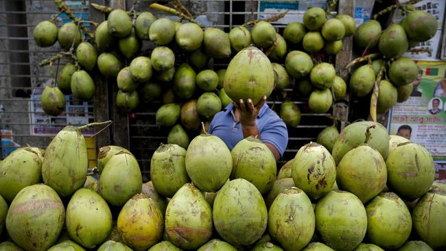 waktu-terbaik-minum-air-kelapa-jarang-orang-yang-tahu_31ca3f7.jpg