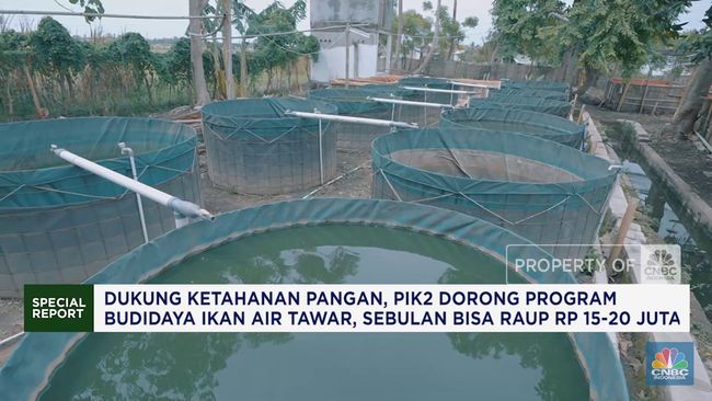 dukung-ketahanan-pangan-pik2-dorong-program-budidaya-ikan-air-tawar_62befa2.jpg