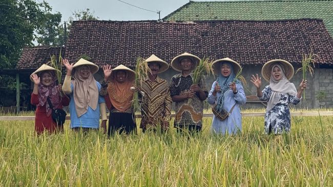 dukung-swasembada-pangan-pis-dorong-produktivitas-lahan-petani-sleman_a28a36c.jpg