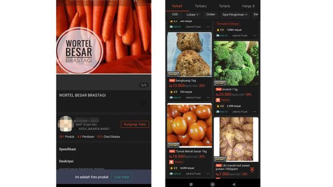 fenomena-baru-warga-ri-makin-getol-belanja-sayur-cs-di-ecommerce_5243c9f.jpg