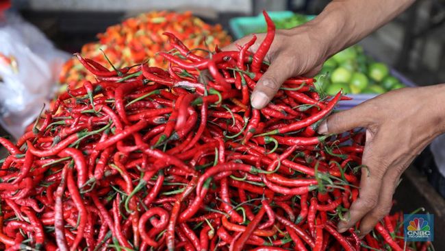 kisah-nelangsa-petani-cabai-merah-harga-pernah-cuma-rp1-500-kg_4069996.jpg