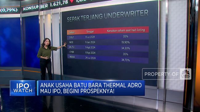 video-anak-usaha-adro-mau-ipo-intip-prospeknya_8f07ecd.jpg