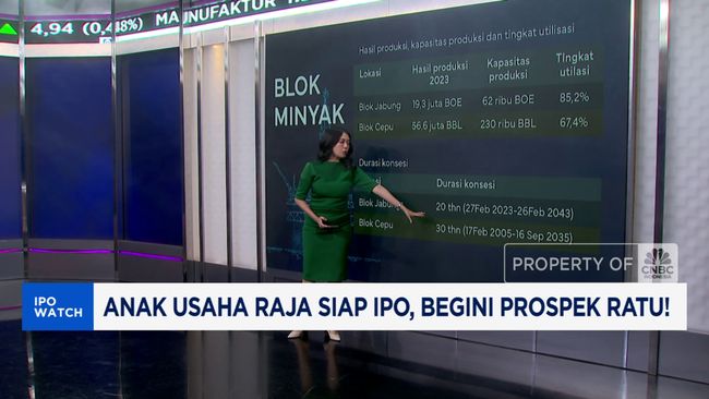 video-anak-usaha-raja-mau-ipo-di-awal-tahun-simak-prospek-ratu_18ede41.jpg