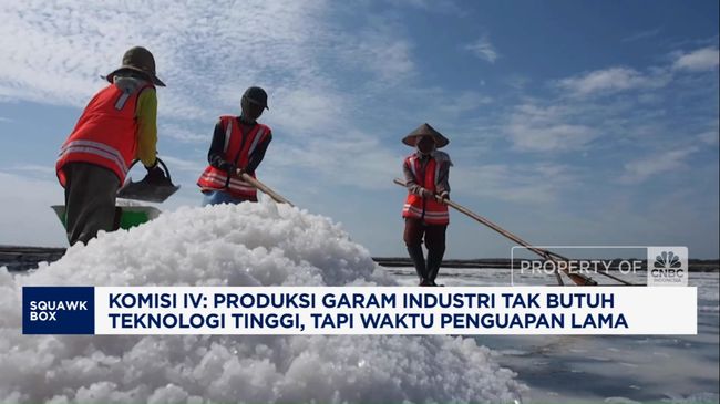 video-komisi-iv-dorong-pemerintah-kerek-produksi-garam-industri_7febd47.jpg