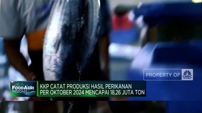 video-oktober-2024-produksi-perikanan-ri-tembus-18-26-juta-ton_691bd63.jpg