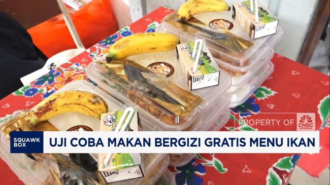 video-potret-uji-coba-makan-bergizi-gratis-menu-ikan_46f7ebe.jpg