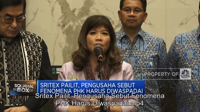 video-sritex-pailit-pengusaha-sebut-fenomena-phk-harus-diwaspadai_ecd719e.jpg