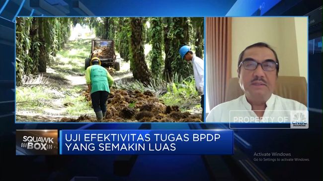 video-tugasnya-diperluas-dari-sawit-kelapa-kerja-bpdp-bisa-efektif_1874d80.jpg