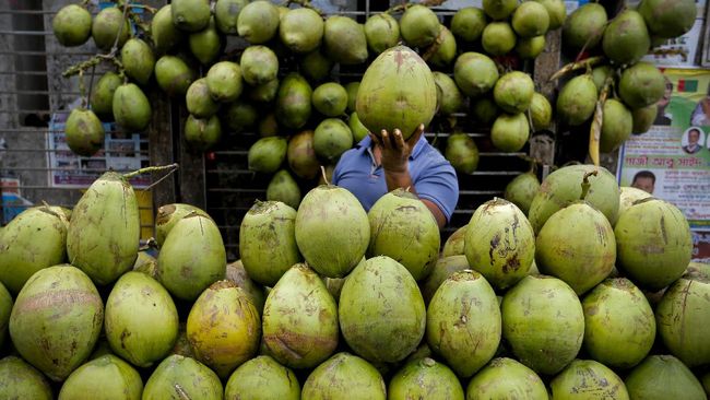 7-waktu-terbaik-minum-air-kelapa-ini-6-manfaatnya_ab9c9cf.jpg