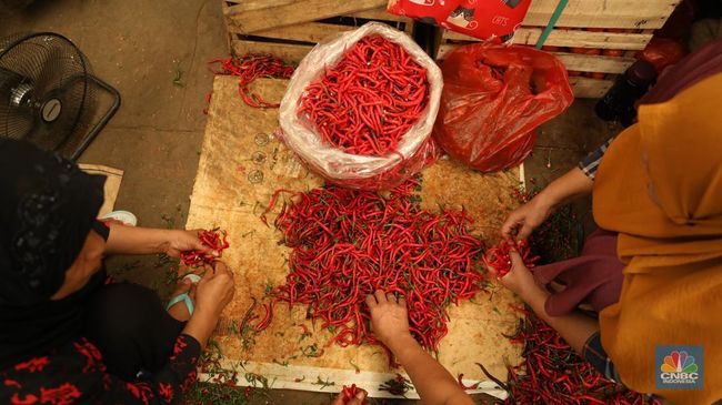 harga-cabai-merah-kriting-di-pasar-kramat-jati-makin-pedas_74ba9d2.jpg