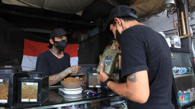 masyarakat-ri-ramai-pindah-ke-rokok-murah-ini-respons-bea-cukai_7a2b1f4.jpg