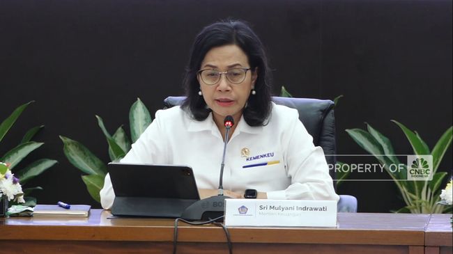 sri-mulyani-ungkap-subsidi-lpg-3-kg-capai-rp30-000-per-tabung_8d4186a.jpg