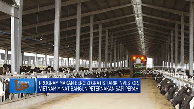 tertarik-program-mbg-vietnam-mau-bangun-peternakan-sapi-perah_56a63d1.jpg